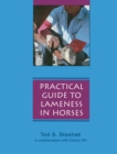 Image for Practical Guide to Lameness in Horses