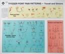 Image for Travell and Simons&#39; Trigger Point Pain Patterns Wall Charts