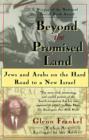 Image for Beyond the Promised Land