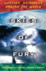 Image for Skies of Fury