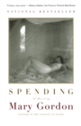 Image for Spending : A Utopian Divertimento