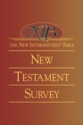 Image for The new interpreter&#39;s Bible: New Testament survey : New Testament Survey