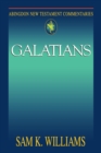 Image for Abingdon New Testament Commentaries : Galatians