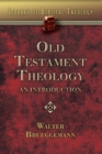 Image for Old Testament theology  : an introduction