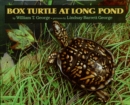 Image for Box Turtle at Long Pond