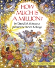 Image for How Much is A Million?
