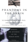 Image for Phantoms in the Brain : Probing the Mysteries of the Human Mind
