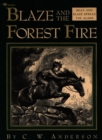 Image for Blaze and the Forest Fire: Billy and Blaze Spread the Alarm