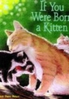 Image for If you were born a kitten