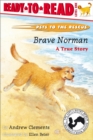 Image for Brave Norman : A True Story (Ready-to-Read Level 1)