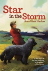 Image for Star in the Storm