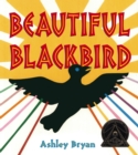Image for Beautiful Blackbird
