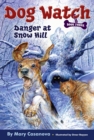 Image for Danger at Snow Hill