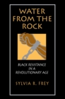 Image for Water from the rock  : Black resistance in a revolutionary age
