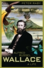 Image for Alfred Russel Wallace  : a life