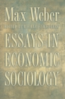 Image for Essays in Economic Sociology