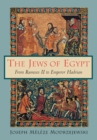 Image for The Jews of Egypt  : from Rameses II to Emperor Hadrian