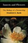 Image for Insects and Flowers : the Biology of a Partnership