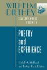 Image for Poetry and experience