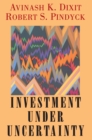 Image for Investment under Uncertainty