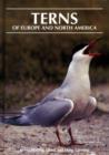 Image for Terns of Europe and North America