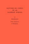 Image for Lectures on curves on an algebraic surface