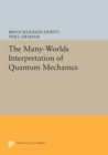 Image for The Many-Worlds Interpretation of Quantum Mechanics