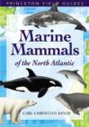 Image for Marine Mammals of the North Atlantic