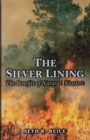 Image for The silver lining  : the benefits of natural disasters