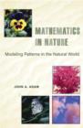 Image for Mathematics in nature  : modeling patterns in the natural world