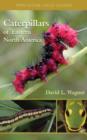 Image for Caterpillars of Eastern North America  : a guide to identification and natural history