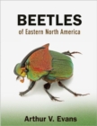 Image for Beetles of Eastern North America