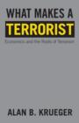 Image for What makes a terrorist  : economics and the roots of terrorism