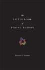 Image for The little book of string theory