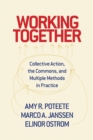 Image for Working together  : collective action, the commons, and multiple methods in practice