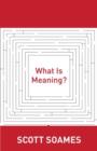 Image for What is meaning?