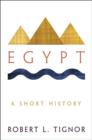 Image for Egypt  : a short history