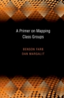 Image for A Primer on Mapping Class Groups (PMS-49)