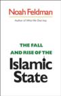 Image for The Fall and Rise of the Islamic State