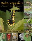 Image for Owlet Caterpillars of Eastern North America