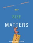 Image for Why Size Matters