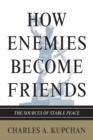 Image for How enemies become friends  : the sources of stable peace