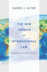 Image for The new terrain of international law  : courts, politics, rights