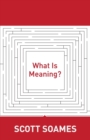 Image for What Is Meaning?