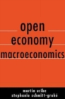 Image for Open economy macroeconomics