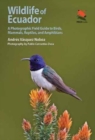 Image for Wildlife of Ecuador : A Photographic Field Guide to Birds, Mammals, Reptiles, and Amphibians