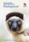 Image for Wildlife of Madagascar