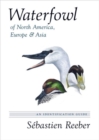 Image for Waterfowl of North America, Europe, and Asia