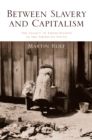 Image for Between slavery and capitalism  : the legacy of emancipation in the american south