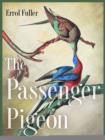 Image for The passenger pigeon